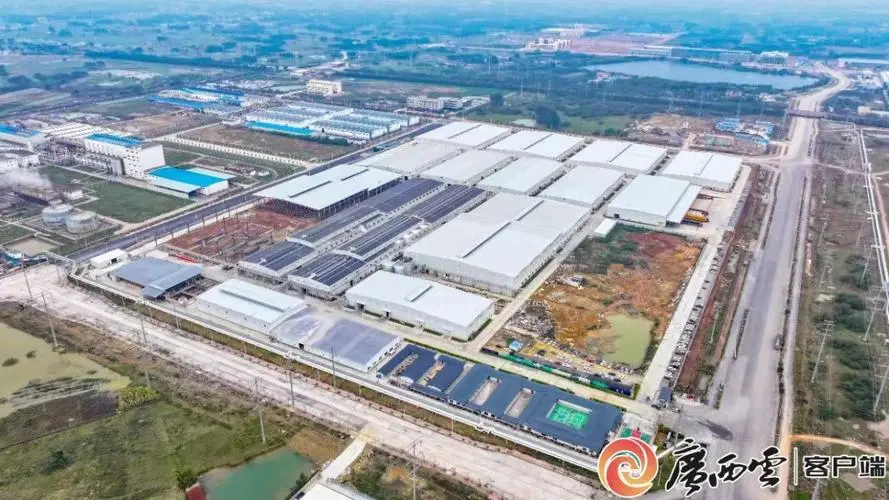 中国—东盟生活用纸产业园区初具规模