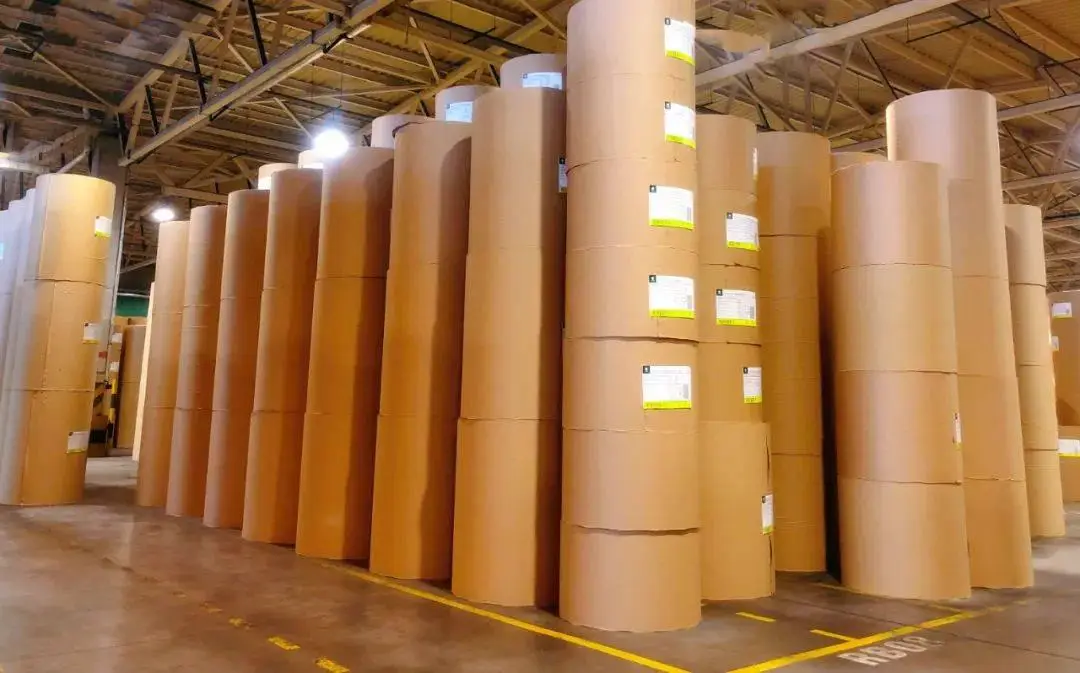 纸包装行业纵览：从疫情低迷中复苏，迎接需求复苏与定价挑战！