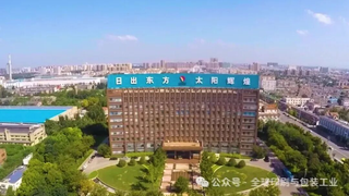 林浆纸一体化之王：太阳纸业年净赚33亿，这才是真正的行业护城河！