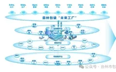 【森林包装】中国领先的数码印刷包装基地，全面深化数字化绿色化发展