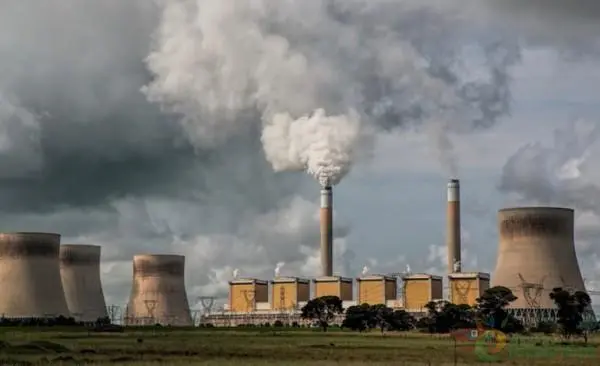 印度造纸行业的现状、风险和发展机遇