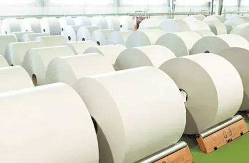 从2023年纸厂、纸机、产能与消费量看欧洲造纸业的大洗牌！